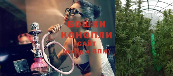 молекула духа Киреевск