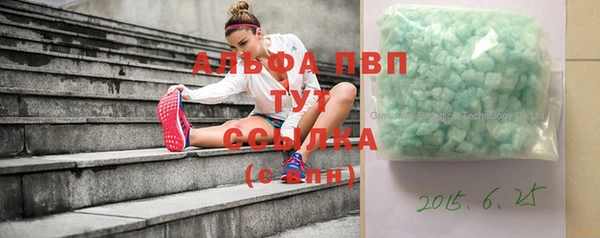 спиды Чекалин