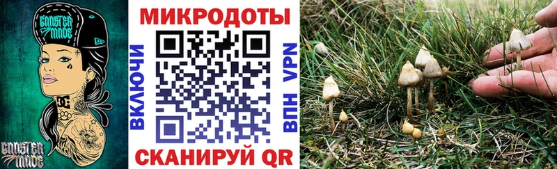 кракен как зайти Электросталь Галлюциногенные грибы Psilocybine cubensis