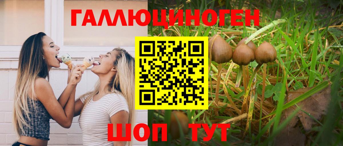 Галлюциногенные грибы Cubensis  Вход с VPN  Электросталь 